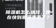 除湿机怎么选择，现在快到潮湿季节了？