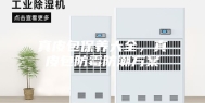 真皮包保养大全，真皮包防霉防潮方案