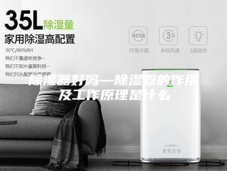 知识百科除湿器好吗—除湿器的作用及工作原理是什么