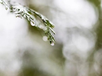 常见问题空气湿度大带来的危害有哪些，你知道吗？