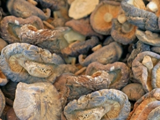 常见问题蘑菇干燥和包装过程中的水分控制