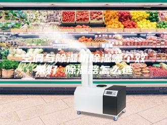 行业新闻空调与除湿机除湿哪个效果好 除湿器怎么选