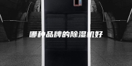 哪种品牌的除湿机好