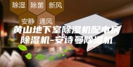 黄山地下室除湿机配电房除湿机-安诗曼除湿机