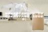 除湿机买哪个品牌比较好，全球除湿机品牌十大排名（含型号推荐）