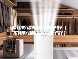 行业新闻商用除湿机哪个牌子好（家用除湿机哪个牌子好）