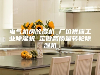 行业新闻电气机房除湿机 厂价供应工业除湿机 定做高质量转轮除湿机