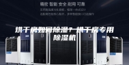 烘干房如何除湿？烘干房专用除湿机