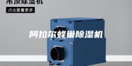 阿拉尔蜂巢除湿机