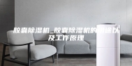 胶囊除湿机_胶囊除湿机的用途以及工作原理