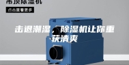 击退潮湿，除湿机让你重获清爽