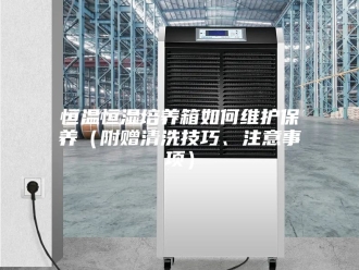 常见问题恒温恒湿培养箱如何维护保养（附赠清洗技巧、注意事项）