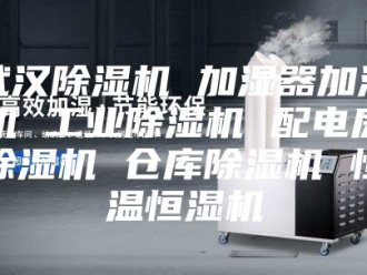 行业新闻武汉除湿机 加湿器加湿机 工业除湿机 配电房除湿机 仓库除湿机 恒温恒湿机