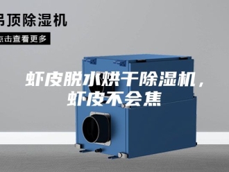 行业新闻虾皮脱水烘干除湿机，虾皮不会焦
