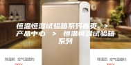 恒温恒湿试验箱系列首页 ＞ 产品中心 ＞ 恒温恒湿试验箱系列
