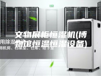 常见问题文物展柜恒湿机(博物馆恒温恒湿设备)