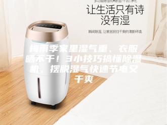 行业新闻梅雨季家里湿气重、衣服晒不干！3小技巧搞懂除湿机，摆脱湿气快速节电又干爽