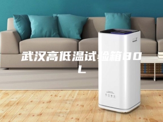 知识百科武汉高低温试验箱80L