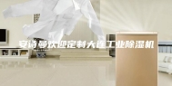 安诗曼欢迎定制大连工业除湿机