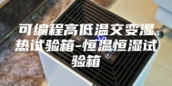 可编程高低温交变湿热试验箱-恒温恒湿试验箱