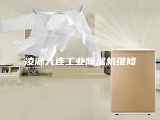 常见问题凌源大连工业除湿机维修