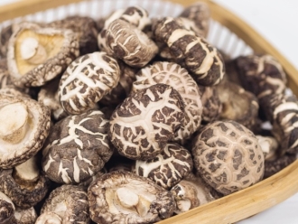 行业新闻干货仓库怎么利用除湿机保持干爽？