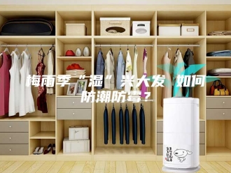 知识百科梅雨季“湿”兴大发 如何防潮防霉？