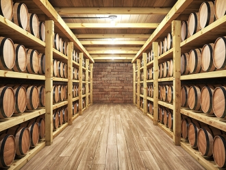 行业新闻地下室除湿机的必备功能和特征