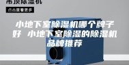 小地下室除湿机哪个牌子好 小地下室除湿的除湿机品牌推荐