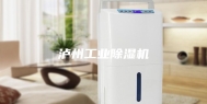 泸州工业除湿机