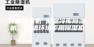 冷库除湿机 低温冷库除湿机  低温环境专用除湿机