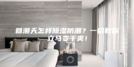 回潮天怎样除湿防潮？一招教你立马变干爽！