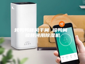 行业新闻烤鸭鸭胚风干间 晾鸭间 晾胚间用除湿机