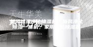 新风除湿净化抽湿机，新风净化除湿一体机，家用新风除湿器