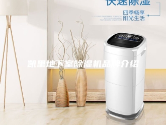 常见问题凯里地下室除湿机品牌介绍