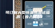 可订制大型恒温恒湿试验房（步入式）