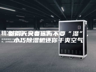 行业新闻回南天只要远方不要“湿”，小巧除湿机还你干爽空气