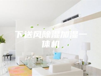 常见问题下送风除湿加湿一体机