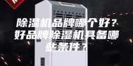 除湿机品牌哪个好？好品牌除湿机具备哪些条件？