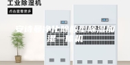 安诗曼净化除酸型除湿加湿一体机