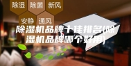 除湿机品牌十佳排名(除湿机品牌哪个好用)