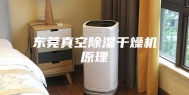 东莞真空除湿干燥机原理