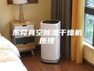 常见问题东莞真空除湿干燥机原理