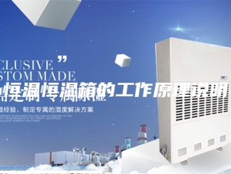 常见问题恒温恒湿箱的工作原理说明