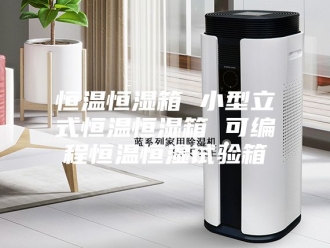 常见问题恒温恒湿箱 小型立式恒温恒湿箱 可编程恒温恒湿试验箱