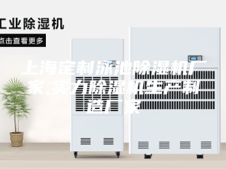 常见问题上海定制泳池除湿机厂家,实力除湿机生产制造厂家