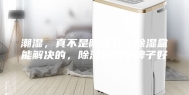 潮湿，真不是除湿袋、除湿盒能解决的，除湿机哪个牌子好