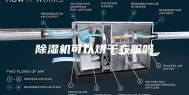 除湿机可以烘干衣服吗