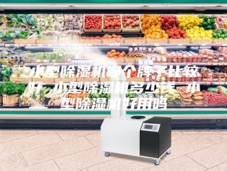 行业新闻小型除湿机哪个牌子比较好 小型除湿机多少钱 小型除湿机好用吗