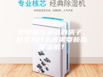 行业新闻即使南北通透的房子，秋季为什么还需要新风除湿机？